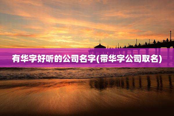 有华字好听的公司名字(带华字公司取名)