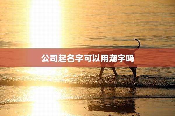公司起名字可以用潮字吗