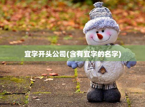 宜字开头公司(含有宜字的名字)