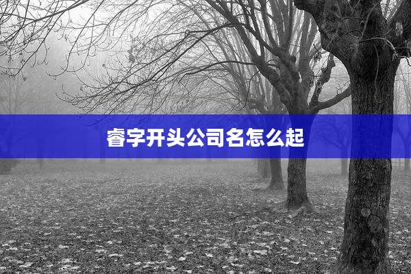 睿字开头公司名怎么起