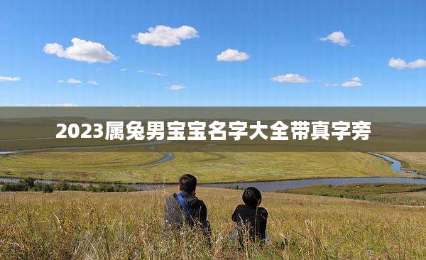 2023属兔男宝宝名字大全带真字旁