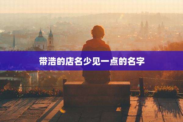 带浩的店名少见一点的名字