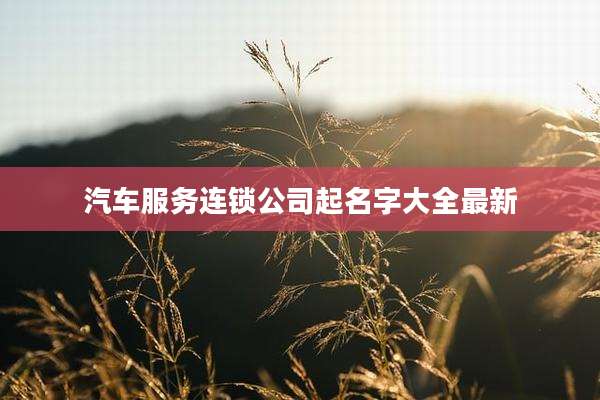 汽车服务连锁公司起名字大全最新