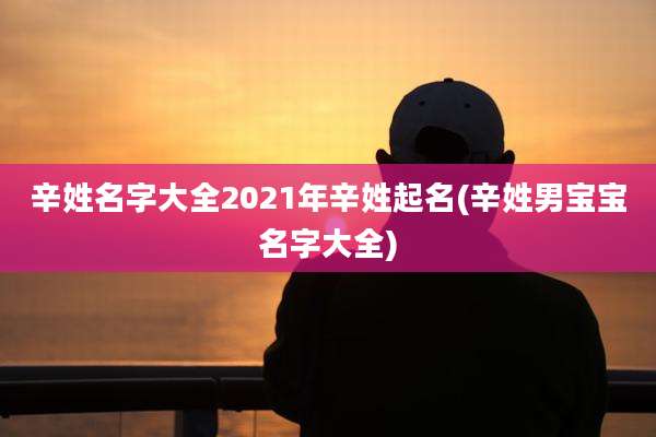 辛姓名字大全2021年辛姓起名(辛姓男宝宝名字大全)