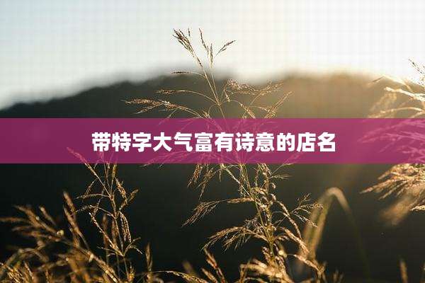 带特字大气富有诗意的店名