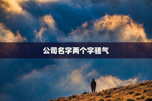 公司名字两个字骚气