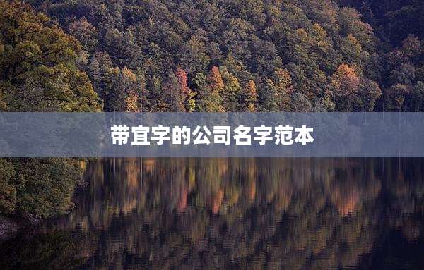 带宜字的公司名字范本