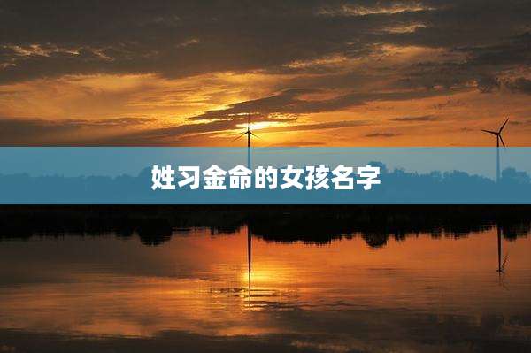 姓习金命的女孩名字