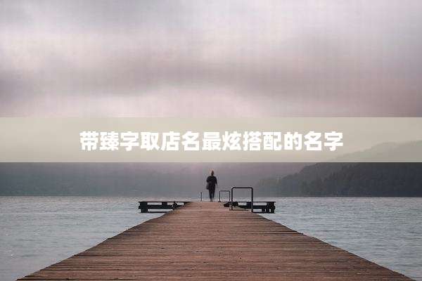 带臻字取店名最炫搭配的名字