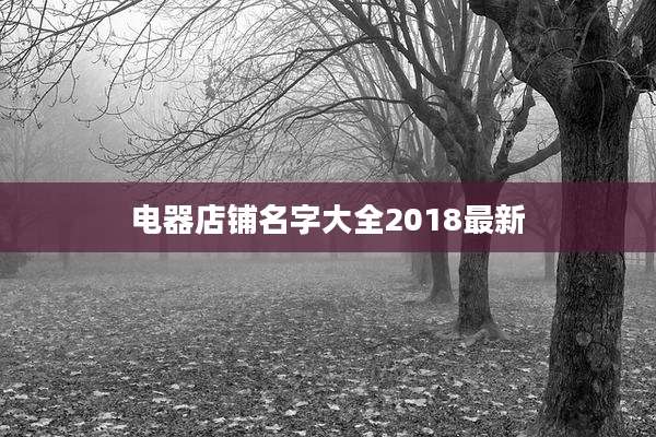 电器店铺名字大全2018最新