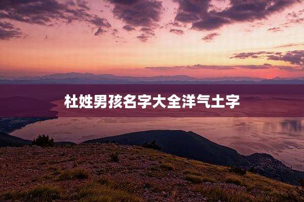 杜姓男孩名字大全洋气土字