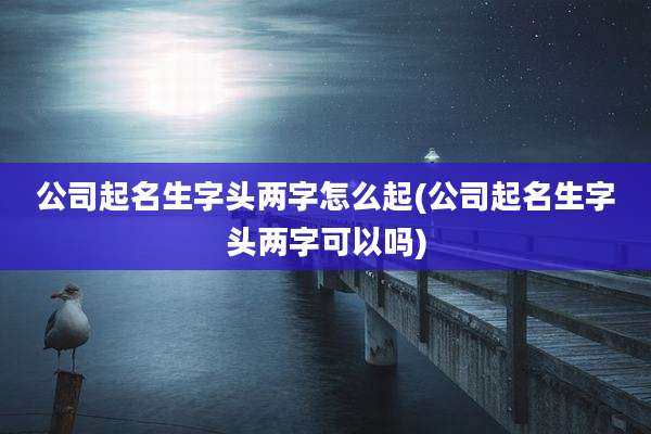 公司起名生字头两字怎么起(公司起名生字头两字可以吗)