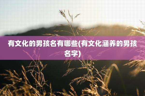 有文化的男孩名有哪些(有文化涵养的男孩名字)