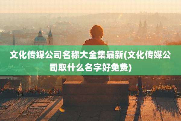 文化传媒公司名称大全集最新(文化传媒公司取什么名字好免费)