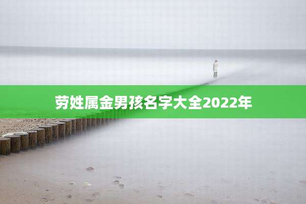 劳姓属金男孩名字大全2022年