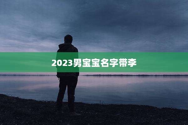 2023男宝宝名字带李