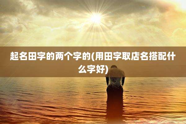 起名田字的两个字的(用田字取店名搭配什么字好)
