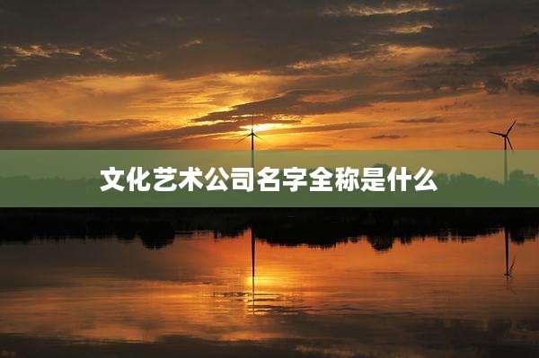 文化艺术公司名字全称是什么