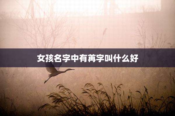 女孩名字中有苒字叫什么好