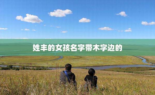 姓丰的女孩名字带木字边的
