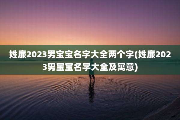 姓廉2023男宝宝名字大全两个字(姓廉2023男宝宝名字大全及寓意)