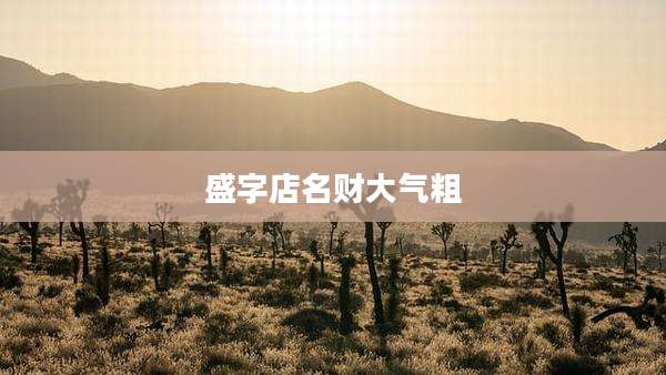 盛字店名财大气粗