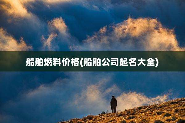 船舶燃料价格(船舶公司起名大全)