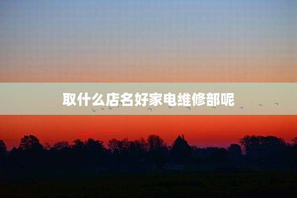 取什么店名好家电维修部呢