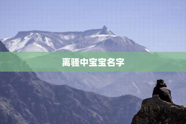 离骚中宝宝名字