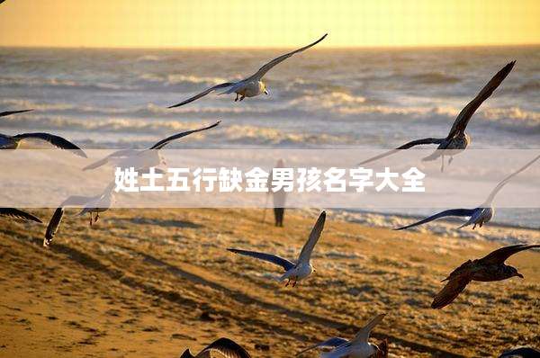 姓土五行缺金男孩名字大全