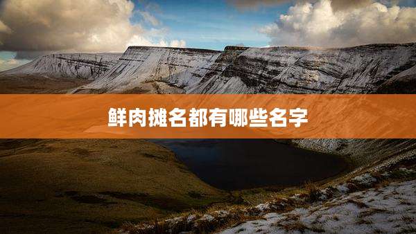 鲜肉摊名都有哪些名字