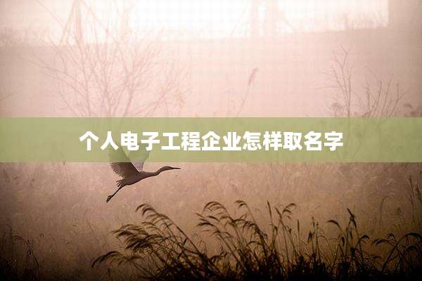个人电子工程企业怎样取名字