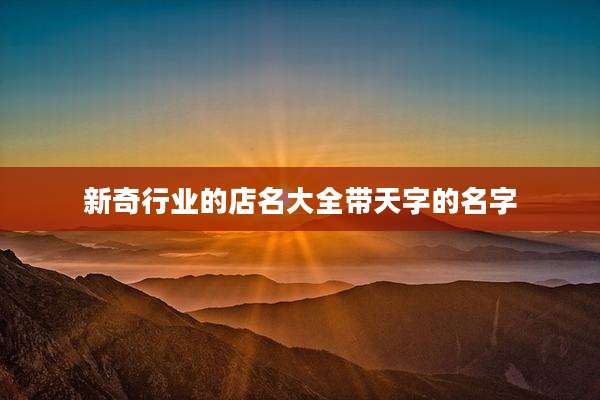 新奇行业的店名大全带天字的名字