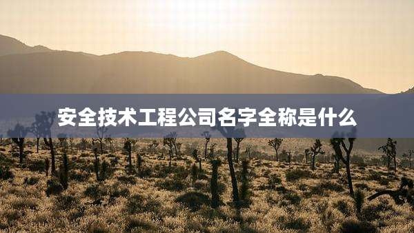 安全技术工程公司名字全称是什么