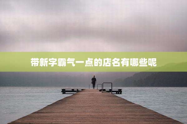带新字霸气一点的店名有哪些呢