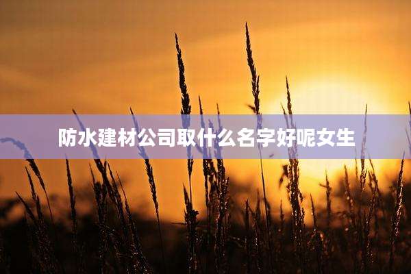 防水建材公司取什么名字好呢女生