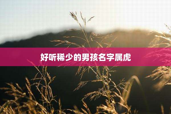 好听稀少的男孩名字属虎