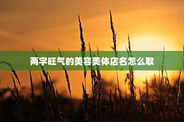 两字旺气的美容美体店名怎么取