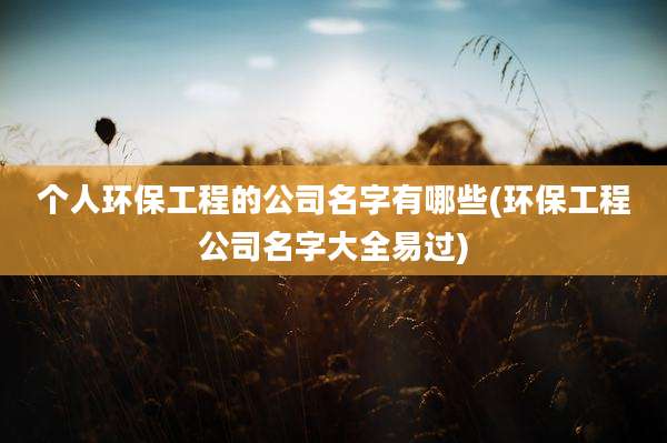 个人环保工程的公司名字有哪些(环保工程公司名字大全易过)