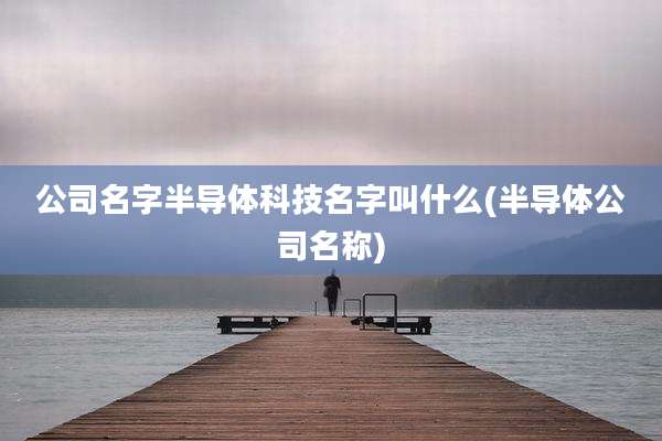 公司名字半导体科技名字叫什么(半导体公司名称)