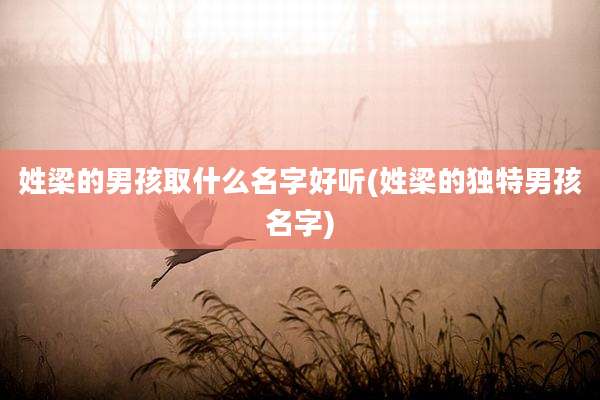 姓梁的男孩取什么名字好听(姓梁的独特男孩名字)