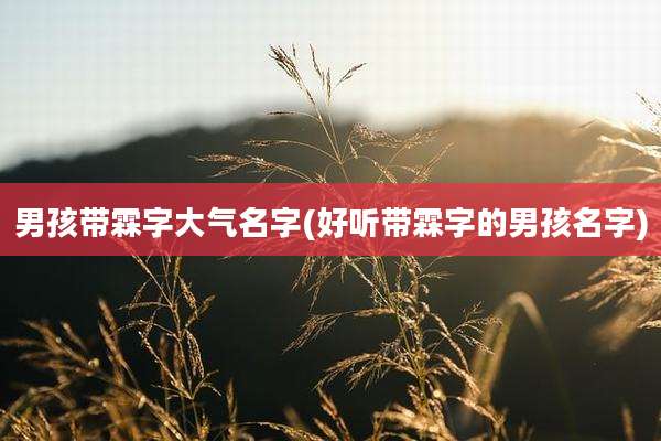 男孩带霖字大气名字(好听带霖字的男孩名字)