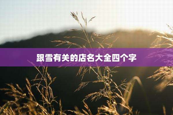 跟雪有关的店名大全四个字