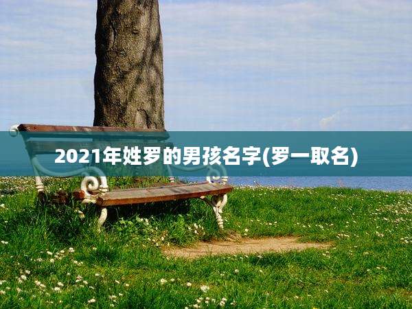 2021年姓罗的男孩名字(罗一取名)
