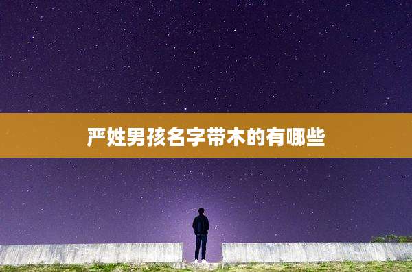 严姓男孩名字带木的有哪些