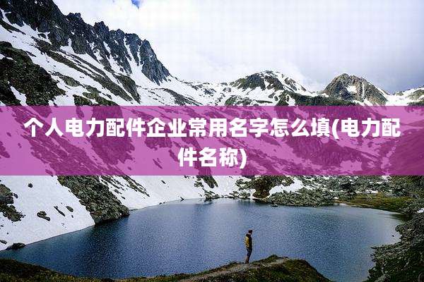 个人电力配件企业常用名字怎么填(电力配件名称)