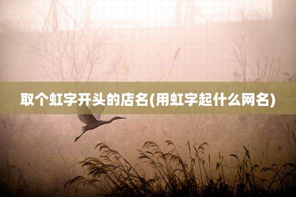 取个虹字开头的店名(用虹字起什么网名)