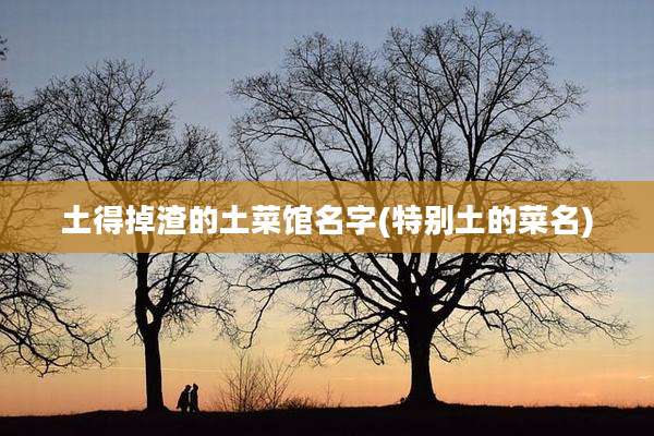 土得掉渣的土菜馆名字(特别土的菜名)