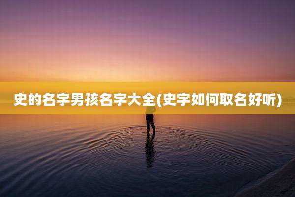 史的名字男孩名字大全(史字如何取名好听)