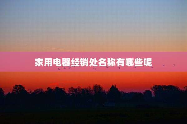 家用电器经销处名称有哪些呢